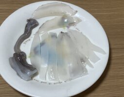 釣果報告 神戸エギング編(豊中店) 釣果報告 神戸エギング編(豊中店)