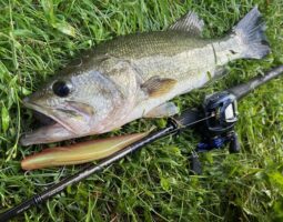 釣果情報 バス釣り 釣果情報 バス釣り