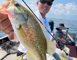 釣果情報 琵琶湖ガイド (豊中店) 釣果情報 琵琶湖ガイド (豊中店)