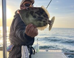 和歌山　船カワハギ釣行（豊中店）