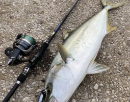 対馬遠征 道楽箱豊中店 対馬遠征 道楽箱豊中店