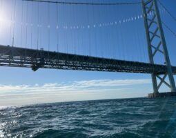 明石ジギング 釣果報告 明石ジギング 釣果報告