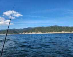 釣果報告　カワハギ釣り編　（豊中店）