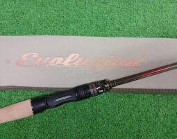 NEWエヴォルジオン＆B.C.4　5.10MXH等、入荷！山科店