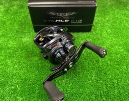 スティーズ/フォキート　入荷情報（豊中店）