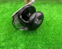 ブルーヘブン/シーボーグ　入荷情報（豊中店）