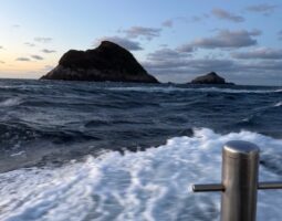 道楽箱高知店　磯釣り釣果情報