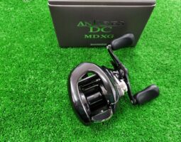 アンタレス/ステラ　入荷情報　（豊中店）