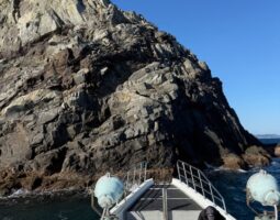 道楽箱高知店　磯釣り情報