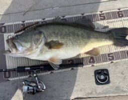 釣果報告　琵琶湖ガイド　ロクマル　