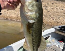 釣果報告　東条湖