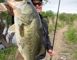 釣果報告　城北ワンド