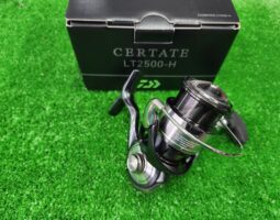 オライオン/セルテート　入荷情報（豊中店）
