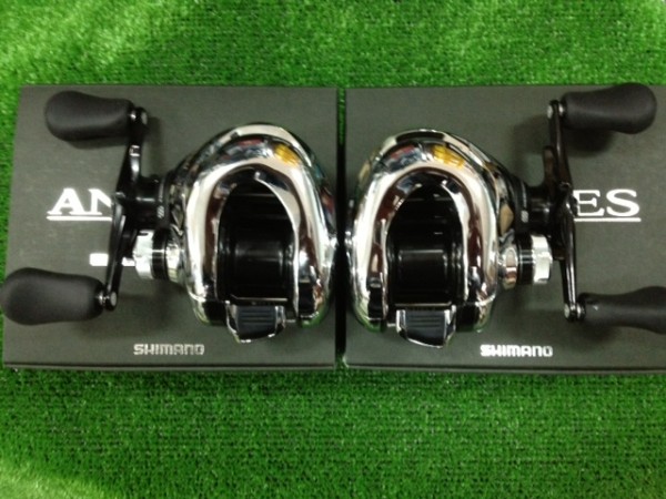 写真 (61)