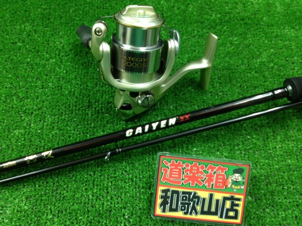 2月5日入荷