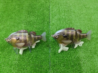 ブル