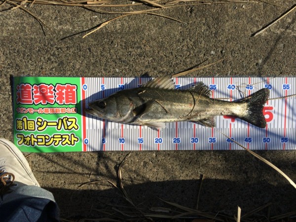 よしだまん