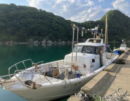 釣果報告　日本海イカメタル　豊中店