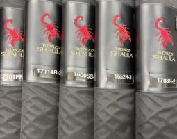 ワールドシャウラ　入荷情報　豊中店