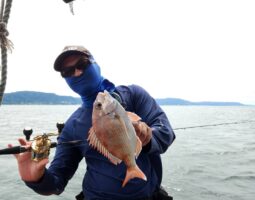 釣果報告　タイラバ