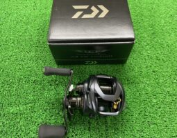 23 スティーズAⅡ TW1000XH、1000H&19 スティーズCTSV TW700XH入荷(枚方店) 23 スティーズAⅡ TW1000XH、1000H&19 スティーズCTSV TW700XH入荷(枚方店)