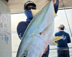 釣果報告　明石ジギング