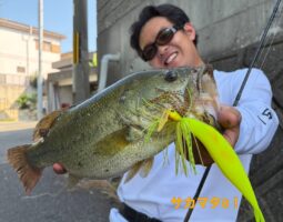 淡路島　バス釣り